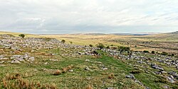 Dartmoor