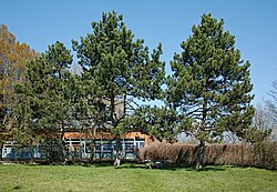 L'école Maria Montessori, à Lille.