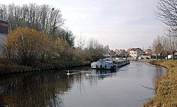 Cygnes et péniche sur le canal de Roubaix, à Marquette-lez-Lille.