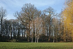 Vue du Domaine du Vert Bois, à Marquette-lez-Lille.