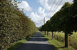Le sentier Triez des Prêtres, à Neuville-en-Ferrain.