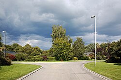 Carrefour, avenue de Brigode, à Villeneuve d'Ascq.