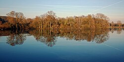 L'île aux oiseaux, sur le lac du Héron, à Villeneuve d'Ascq